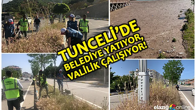 Tunceli'de belediye yapmayınca, Valilik ekip kurdu çalışmalara başladı