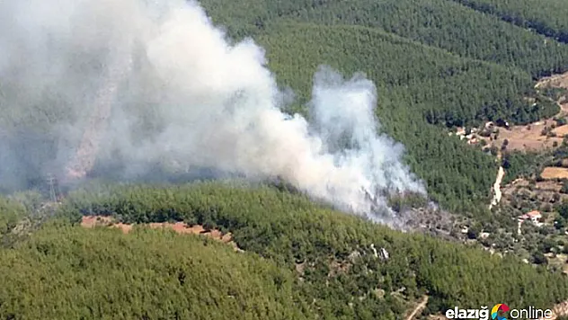 Elazığ'da orman yangını