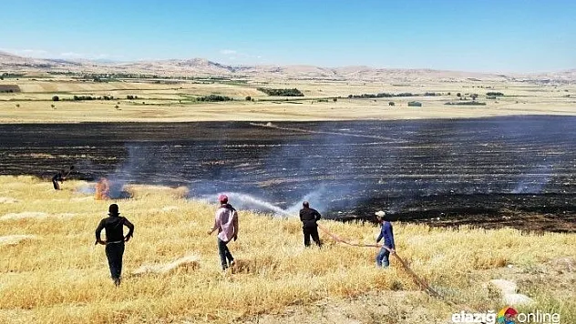 Elazığ'da 150 dönümlük alan kül oldu