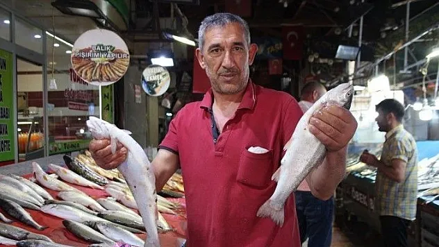 Sezon açıldı, tezgahlar balıklarla renklendi