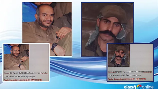 Tunceli'deki terör operasyonu