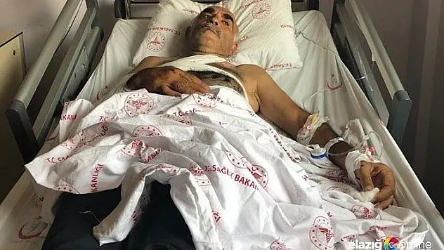 Ayının saldırdığı karı-koca yaralandı