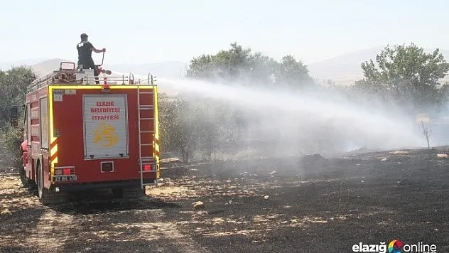 Bahçe yangınında 80 meyve ağacı zarar gördü