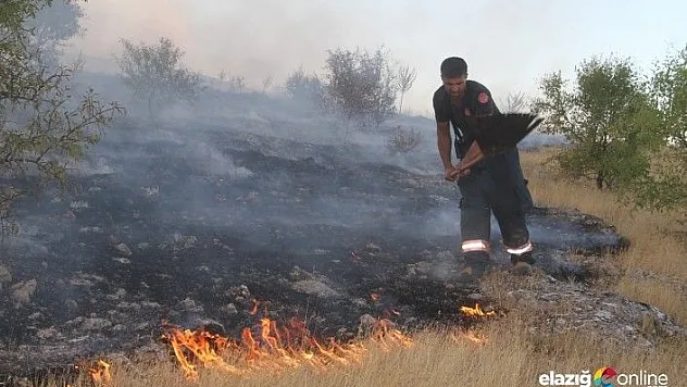 Baskil'deki orman yangını 5 saatte kontrol altına alındı