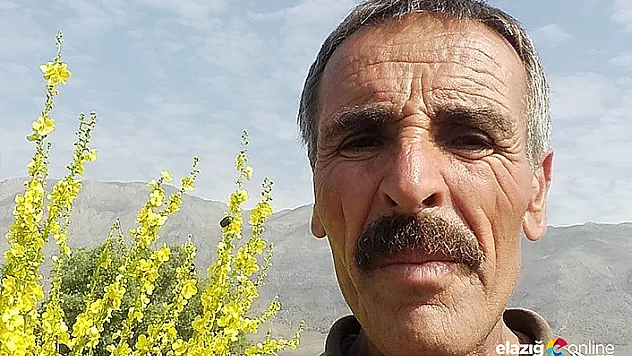 Boğa, sahibini öldürdü