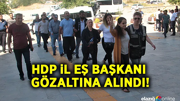 Elazığ'da PKK/KCK operasyonu!