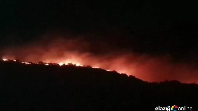 Elazığ'da  orman yangını