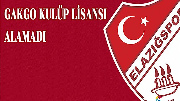 Elazığspor'u Bekleyen Tehlike!..