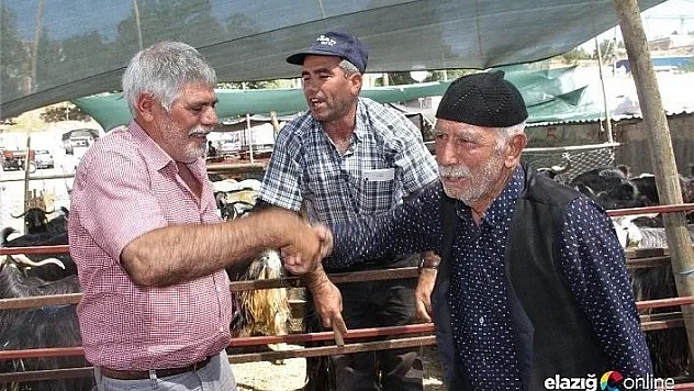 Kurban pazarında hareketlilik arttı, pazarlıklar kızıştı