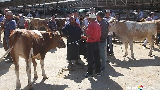 Kurban pazarında son gün yoğunluğu