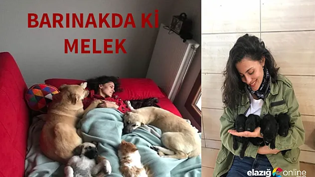 Barınak Meleği&quotTÜRKAN CEYLAN&quot