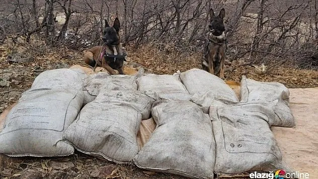 Bingöl'de 450 kilo amonyum nitrat ele geçirildi