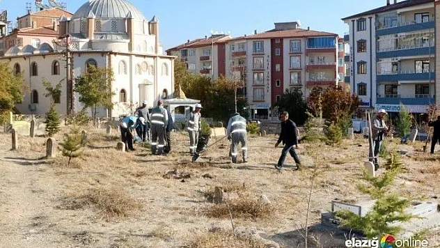 Elazığ'da ebedi istiraatgahlara 5 bin fidan