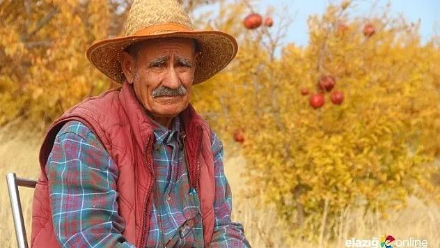 Yerli 'Robinson Crusoe' Ziya Dede, adasında kışa hazırlanıyor