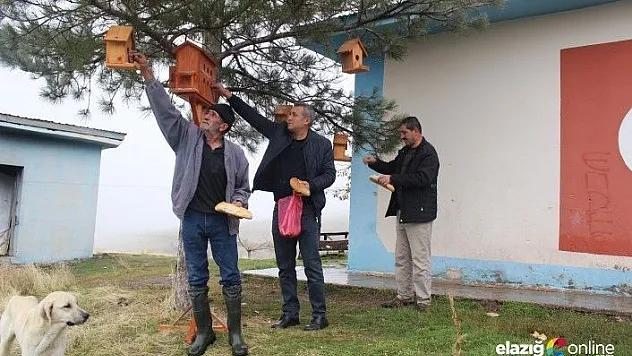 350 adet kuş evi yaptırılarak, ağaçlara asıldı