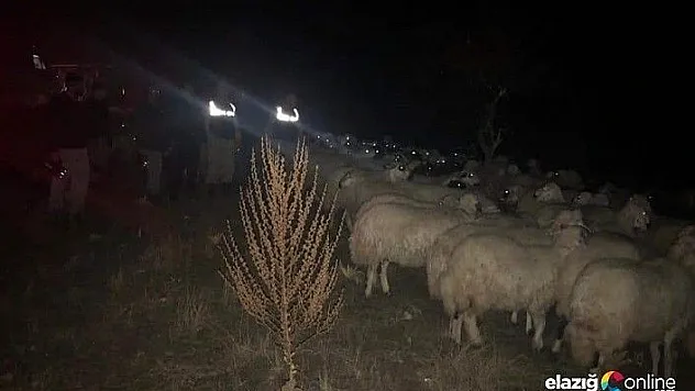 9 saatlik çalışma sonucu bulundular