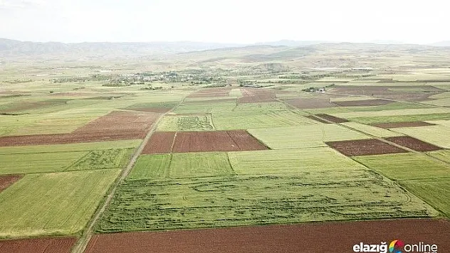 Elazığ ve Malatya'da 304 bin 391 dekar alanda toplulaştırma yapıldı