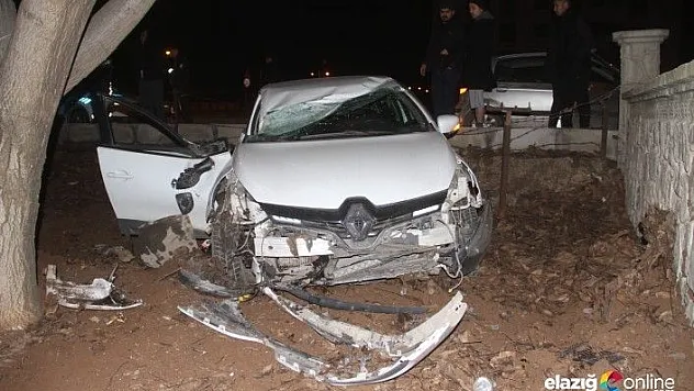 Elazığ'da otomobil bahçeye uçtu!