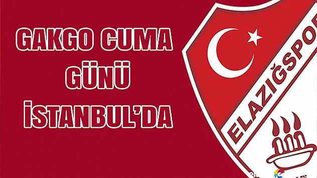 Elazığspor, Cuma Günü İstanbul'a Gidecek