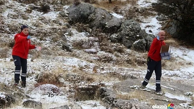 Yüksek kesimlere kar yağdı, sağlıkçılar yaban hayvanlarını unutmadı