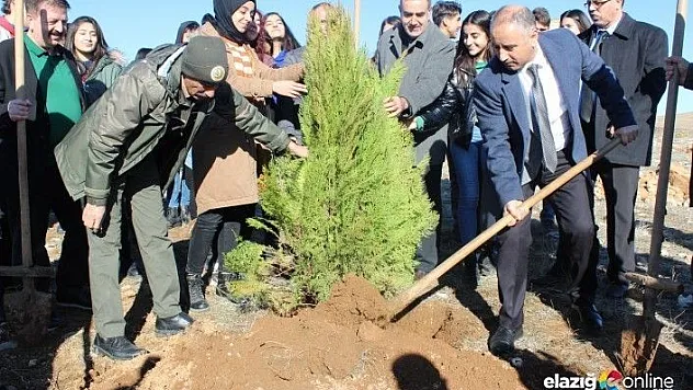 Hayrettin Karaca anısına 200 fidan dikildi
