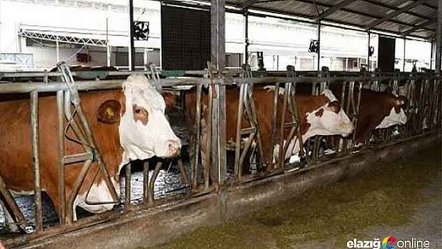 Müjde geldi: 52 milyon lira hibe desteği daha!