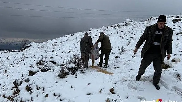 Yaban hayvanları için doğaya yem bırakıldı