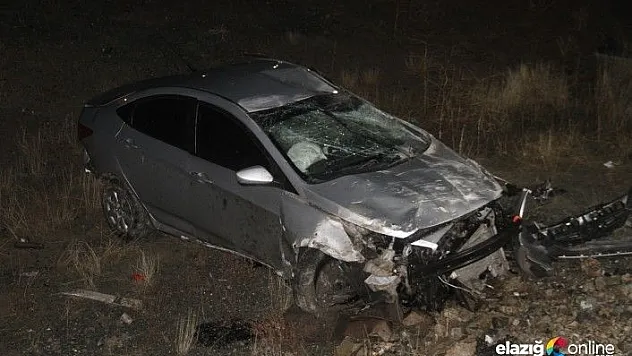 Yoldan çıkan otomobil şarampole uçtu