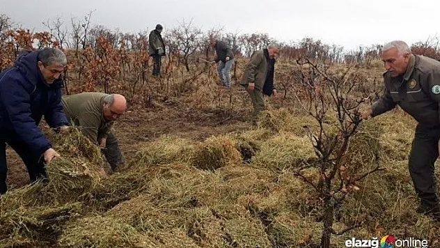 Yabani hayvanlar için doğaya yem bırakıldı