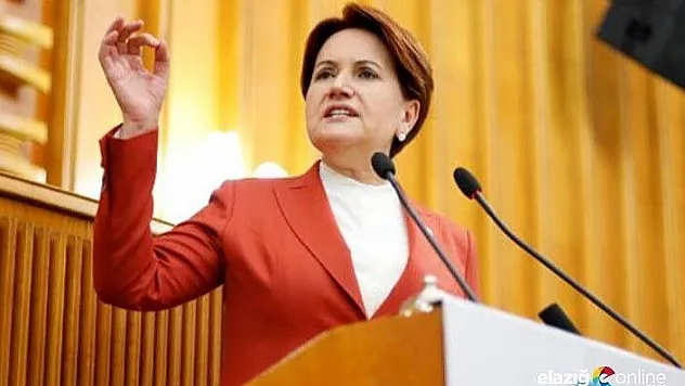 Akşener: Hükümeti destekleyeceğimizi ilan ediyoruz!