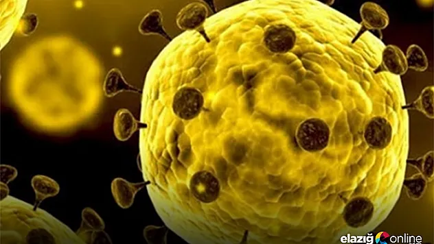 Bakanlık açıkladı, yeni koronavirüs tedbirleri!