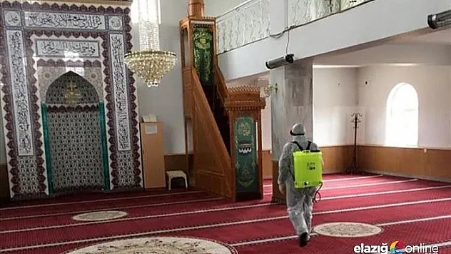 Baskil'de Camiler Dezenfekte Edildi