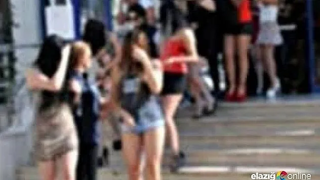 Bingöl merkezli 5 ilde operasyon aralarında Elazığ'da var