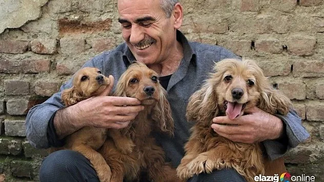 Depremzedenin köpek sevgisi, onlardan ayrılamıyor