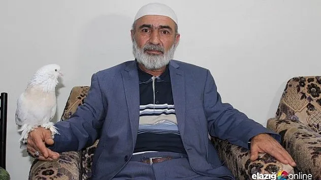 Nadir bulunan güvercinine 100 bin dolar değer biçiyor