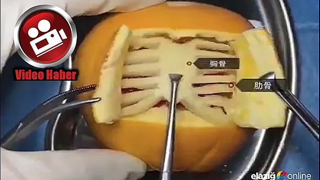 Virüsün etkisini portakalla gösterdiler