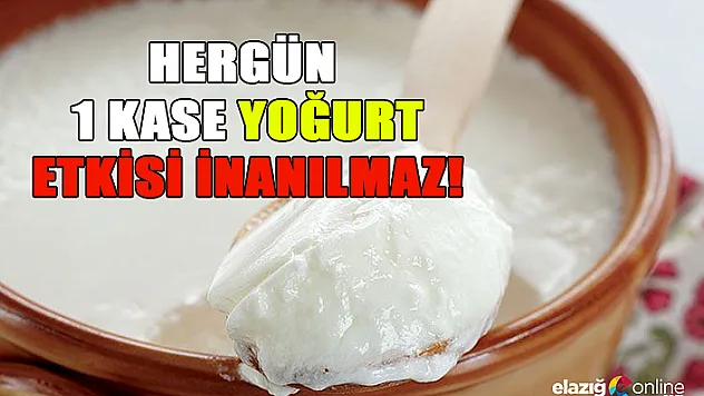 Bağışıklık Sistemi İçin Geleneksel Formül