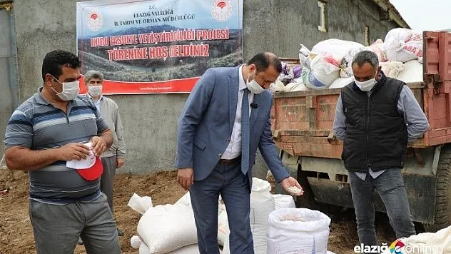 Bermaz Ovası'nda &quotGezin Fasulyesi&quot için tohum desteği