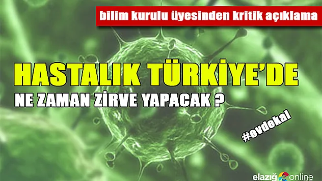 Bilim kurulu üyesi korona virüsün Türkiye'de zirve yapacağı tarihi açıkladı
