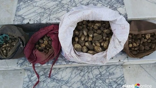 Biyolojik çeşitliliği tahripten 294 bin 988 TL ceza yediler