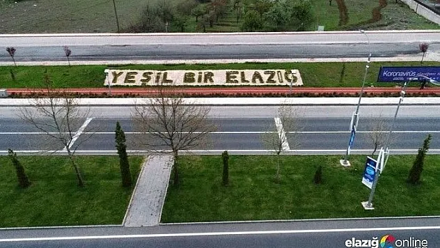 Elazığ Belediyesi &quotYeşil Bir Elazığ&quot İçin Çalışıyor