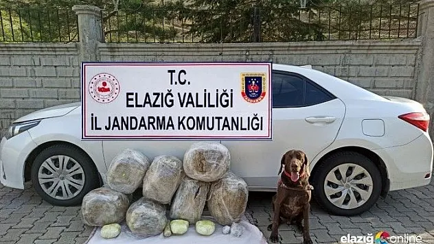 Elazığ'da uyuşturucu operasyonu: 62 kilo toz esrar ele geçirildi