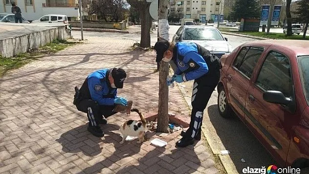 Elazığ polisi, sokak hayvanları için görevde