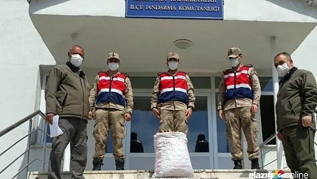 Kaçak salep soğanı toplayan iki kişiye 153 bin TL ceza!