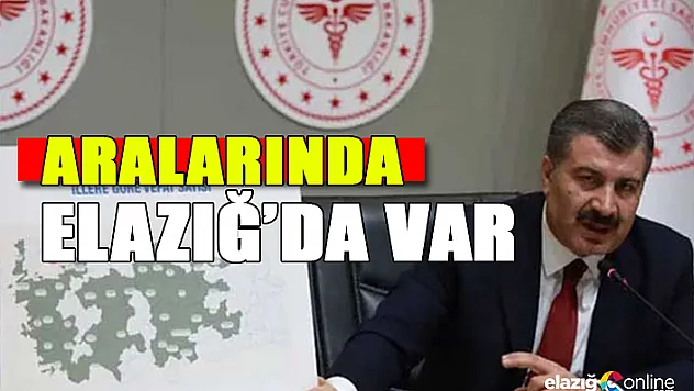 Koronavirüs ölümlerinin en çok ve en az görüldüğü illerimiz belli oldu!