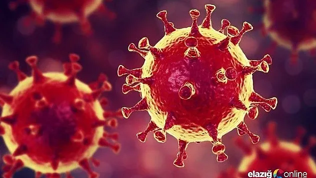 Koronavirüsü 48 saatte yok ettiği iddia edilen bir ilaç bulundu!