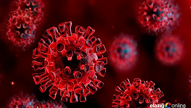 Soğuk algınlığı ile koronavirüs arasındaki fark nedir?