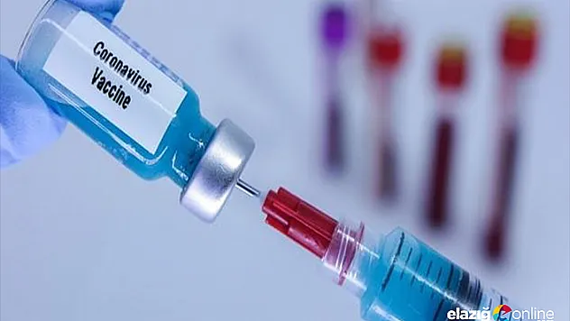 Türkiye'de aşı için 6 üniversite seferber oldu! Tarih verildi