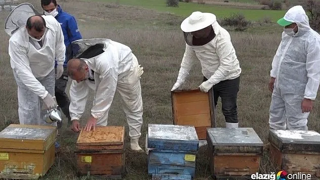 Yaşlıların &quotbahçe ve arılarının&quot bakımı yapıldı