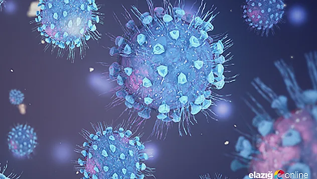 Yeni açıklama geldi! Koronavirüs 4 organa daha zarar veriyor!